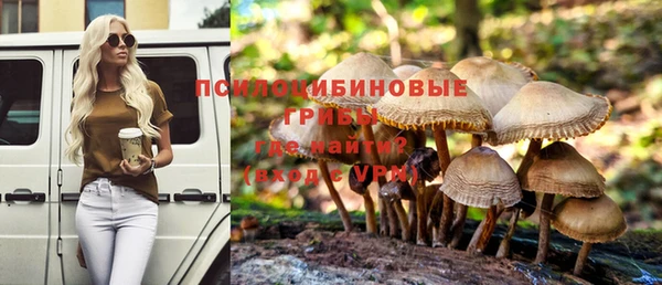 а пвп мука Новодвинск