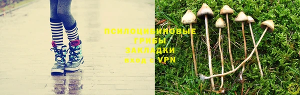 мефедрон мука Новозыбков