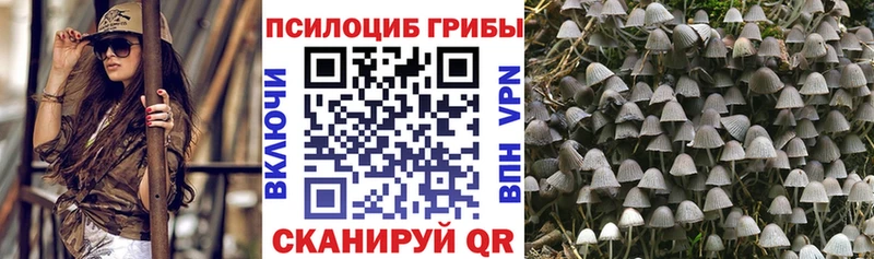 купить наркотики цена Углегорск Псилоцибиновые грибы Psilocybe